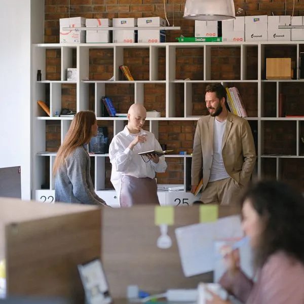 Company Setup & Licensing