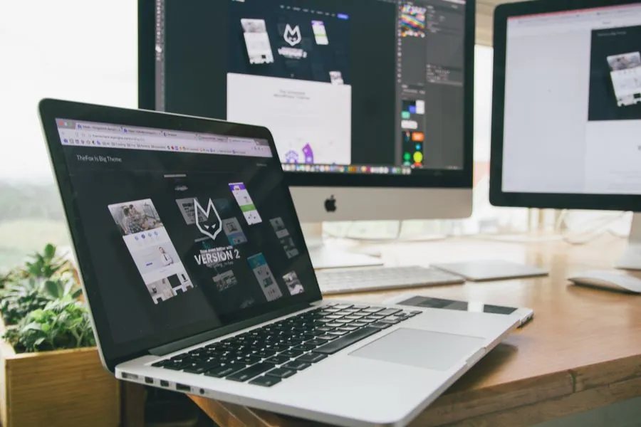 Domain & Corporate Website
